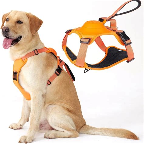 Automatic Retractable Dog Walking Set Vest Pet Harness - Lulunami