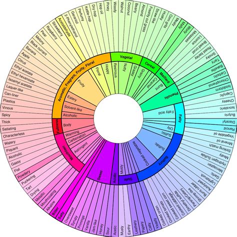 Beer Flavor Wheel (Infographic) - Flavoured Delights