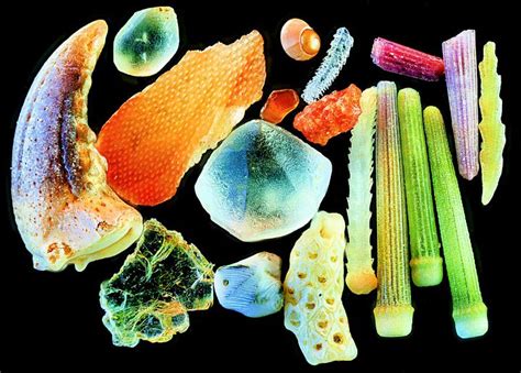 Sand under a Microscope; How Does Magnified Sand Look?