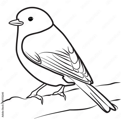 BIRD outline vector Stock Vector | Adobe Stock