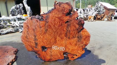 Redwood Burl Slabs 6 – Redwood Burl Inc.