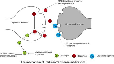 MANGMENT OF PARKINSON'S DISEASE BY DOPAMINE AGONISTS