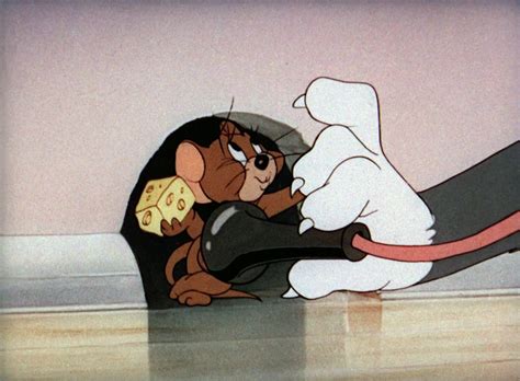 Tom & Jerry Pictures: "Mouse Trouble"