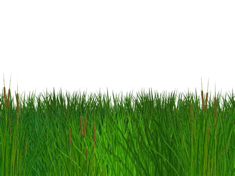 Grass Floor Png - Look at links below to get more options for getting ...