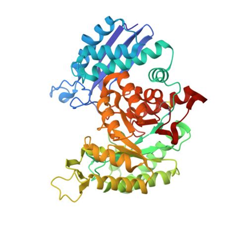 RCSB PDB - 8UEL: Crystal structure of enolase from Litopenaeus vannamei