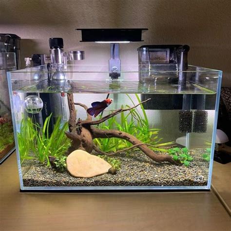 Corner Fish Tank Ideas to Enhance your Interior Decor.