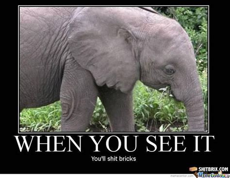 Elephant Face by Kelsopeachyo - Meme Center