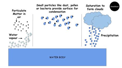 Condensation - DewWool