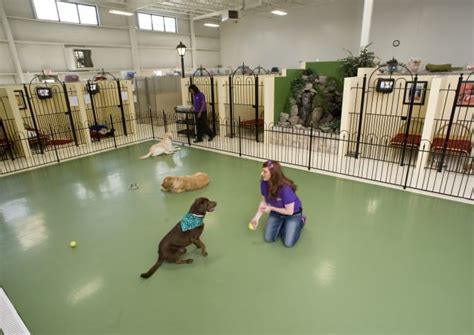 Pet Palace Virtual Facility Tour | Pet Boarding Resort