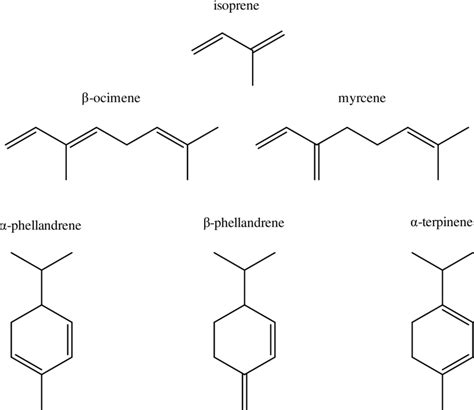 Alkene Structure