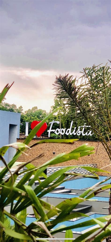 FOODISTA RESTAURANT, Vadodara - Restaurant Reviews, Phone Number ...