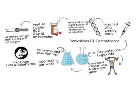 Derivatives of testosterone testosterone cypionate dosage and side effects