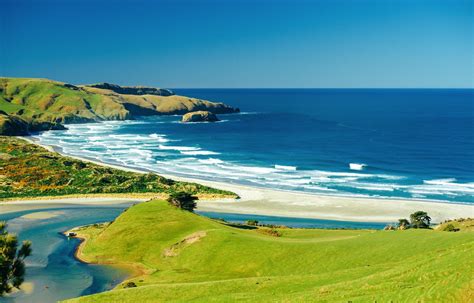 10 Best Beaches In New Zealand To Visit | New zealand beach, Dunedin ...