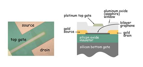 Bilayer Graphene Gets a Bandgap - Berkeley Lab – News Center