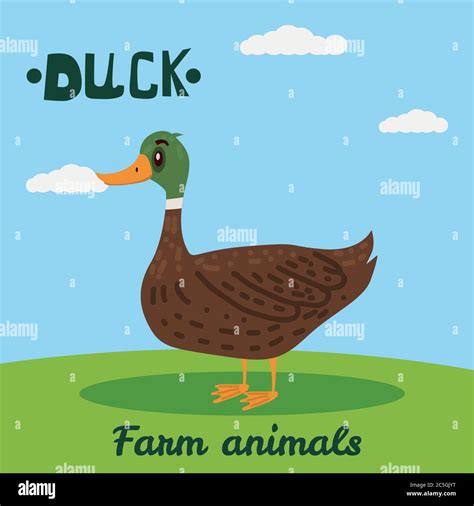 Cute Duck farm animal character, farm animals, vector illustration on ...