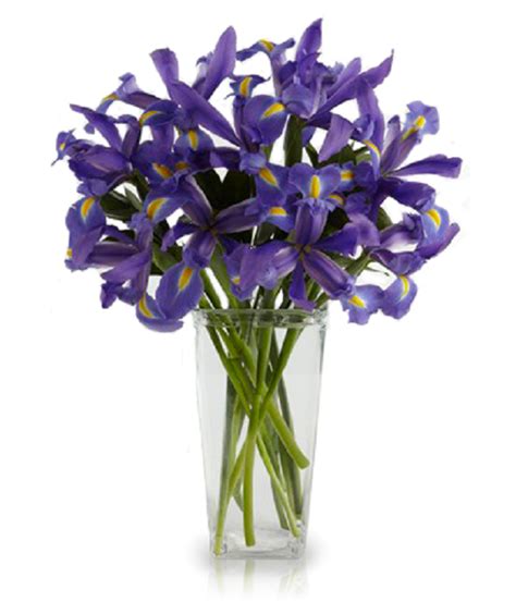 Blue Iris Bouquet - Sympathy & Funeral Flowers | Buy online at ...