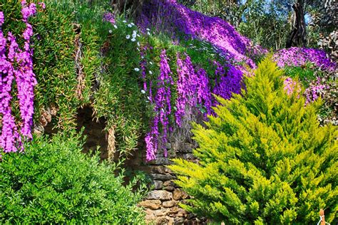 Visiting The House Of The Virgin Mary (Meryem Ana) In Ephesus Turkey