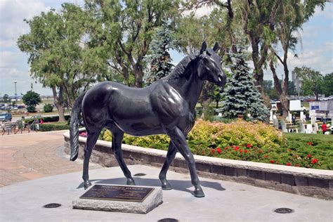 Northern Dancer Woodbine Race Track | Horses, Race track, Racing