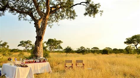 Hamiltons Tented Safari Camp | TravelGround