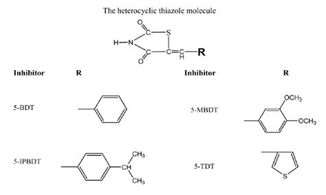 Structure of the investigated thiazole derivatives. | Download ...