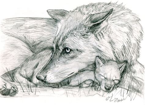 Wolf and Pup by silvercrossfox on DeviantArt | Wolf drawing, Wolf ...