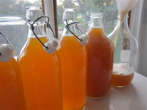 Making Kombucha: A Visual Guide - Holistic Squid