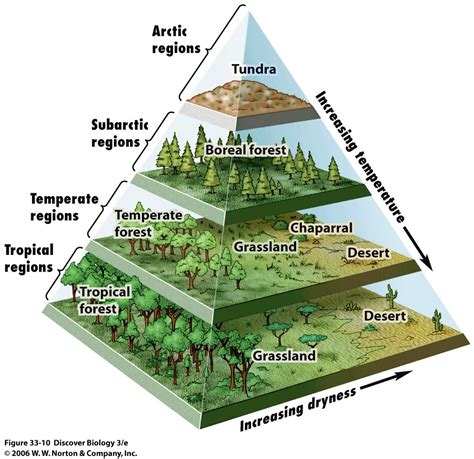 What is ‘biome’? – Together We Learn