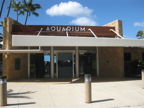 Waikiki Aquarium - Hawaii Travel Guide