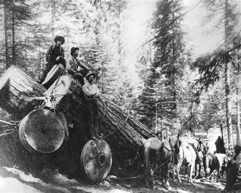 A Longhouse Birdhouse: LUMBERMAN