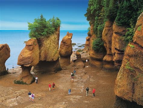 Bay of Fundy Premiers Partner in Final Fundy Boost as New Seven Wonder