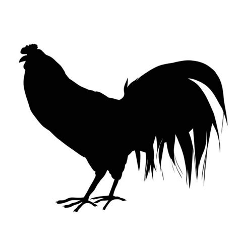 Rooster crowing silhouette — Stock Vector © newgena #191428564