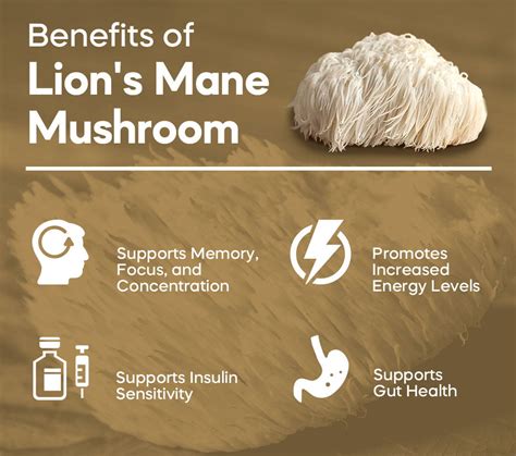 Health Benefits Of Lion's Mane Mushroom