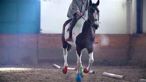 Stock Video Clip of Slow Motion Horse Galloping Towards The Camera ...