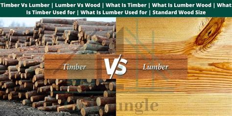 What Is The Difference Between Timber And Lumber, 57% OFF