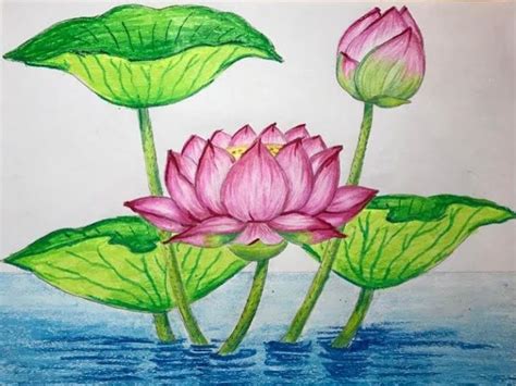 a drawing of three water lilies with green leaves in the middle and one ...