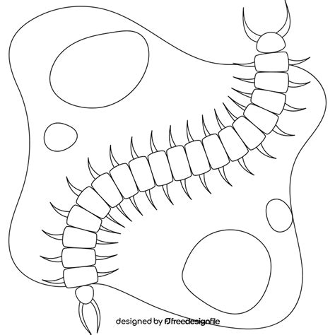 Centipede outline black and white clipart free download