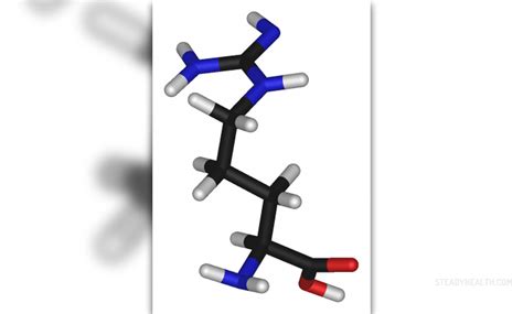 L-arginine: side effects and benefits | General center | SteadyHealth.com