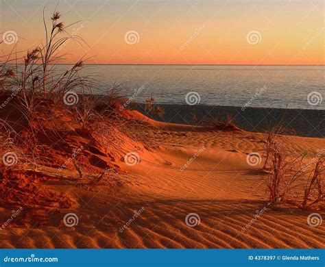 Sunset on Dunes stock image. Image of ocean, sunset, australia - 4378397