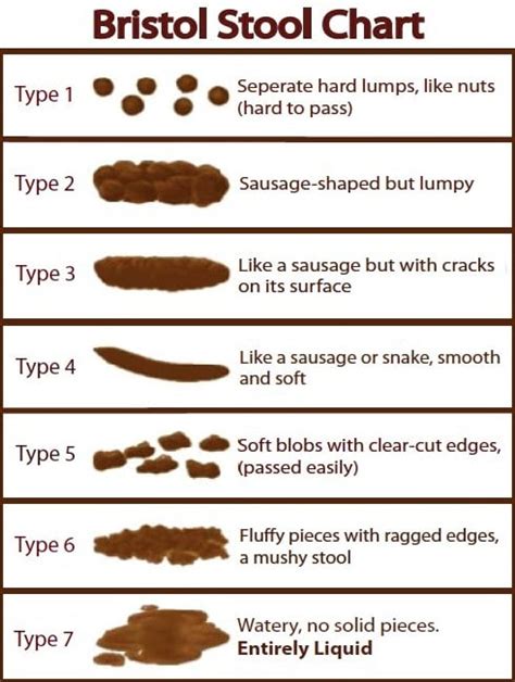 Evaluating 5 Qualities Of Poop To Determine Your Health and Diet