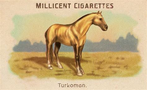 Silver Turkoman Horse | RDR2 & Online Horse Stats & Locations