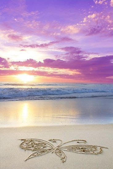 a butterfly on the sand of beach Beautiful Sunset, Beautiful Beaches ...