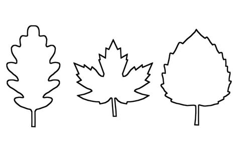 Free Printable Leaf Template - PRINTABLE TEMPLATES