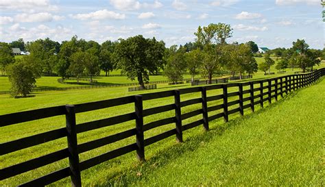 Choose the Right Fencing for Various Livestock Types – Hobby Farms