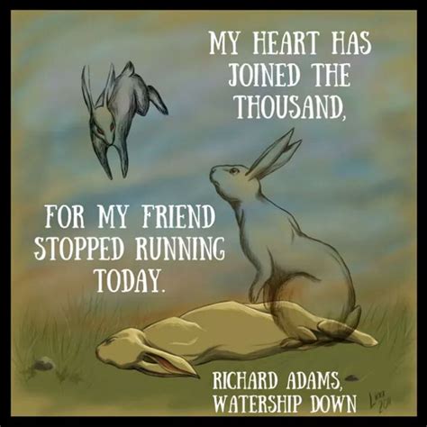 Watership Down Quotes - ShortQuotes.cc