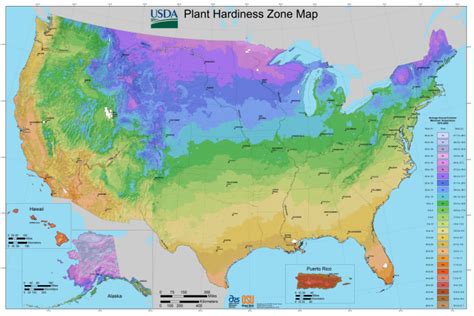 What's Your Planting Zone? | USDA Plant Hardiness Zone Map | The Old ...