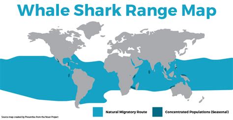 View Current Whale Shark Map and Habitat Range