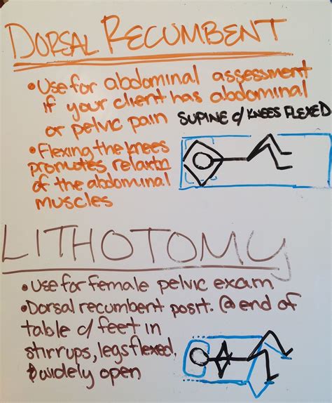 Patient Positioning: Dorsal Recumbent and Lithotomy