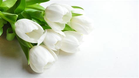 White Flowers Wallpapers - Wallpaper Cave