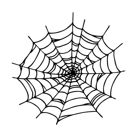 Simple hand drawn spider web illustration. Cute gossamer clipart ...