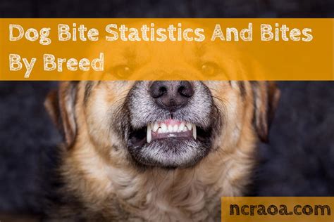 Dog Bite Statistics And Bites By Breed | National Canine Research ...